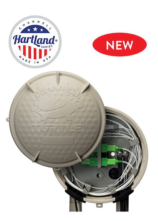 HartLand “C” Turtle (HRN)